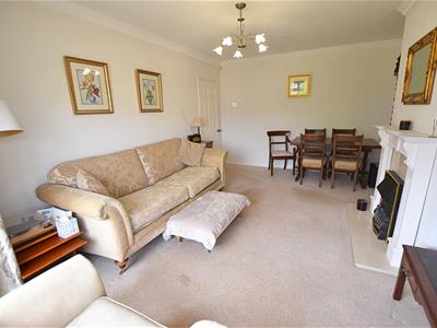 Picture 13